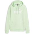 PUMA Damen Sweatshirt ESS Logo Hoodie TR (s), Größe L in Grau