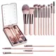 14 PCS Makeup Brushes Set Travel Makeup Brush Kit with LED light Mirror Foundation Powder