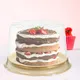 10 Pcs Cake Box Containers Wedding Stand Plastic Carrier with Lids Cakes Boxes Slice of