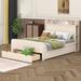 Latitude Run® Full Size Platform Bed w/ Storage Headboard & A Big Drawer, Wood in Brown | Wayfair 44AF0D7D93FA4635BDB01BE959EB7A6E