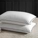 Alwyn Home Sleeping Goose Feather Down Plush Support Pillow Down & Feathers/100% Cotton | 20 H x 26 W x 5.6 D in | Wayfair