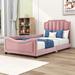 Ivy Bronx Latory Youth Bed Wood & /Upholstered/Velvet in Pink | 40 H x 41 W x 78 D in | Wayfair 84110A8B12D04331A4A47D7CDB240908