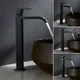 Robinet de Lavabo en Acier Inoxydable Noir Mat Cascade Grand Évier Simple Eau Froide Montage