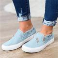 Women's Slip-Ons Canvas Shoes Pink Shoes Comfort Shoes Plus Size Daily Zipper Flat Heel Round Toe Casual Minimalism Canvas Loafer Solid Color Black Pink Blue