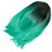 Set of 2 Cosplay Wig Halloween Wigs Black Straight Green Women s Gradient Bob Hair