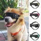 Lunettes de soleil pour chiens de petite race lunettes de protection UV pour petits chiens et