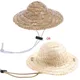 YYSD chapeau pour animaux compagnie pour chat chien accessoires déguisement tailles S/L chapeau