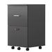 Latitude Run® File Cabinet w/ Two Drawers w/ Lock, Hanging File Folders A4 Or Letter Size | Wayfair 662E2579D2D9431CA96B7F796ED43D5B