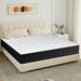 Twin Medium 12" Hybrid Mattress - Alwyn Home Kapp | 75 H x 39 W 12 D in Wayfair 9EF3E3E817BD4EC6B897ADCC791A9FFF