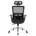 Ivy Bronx Ergonomic Mesh Office Chair, Metal in Black | Wayfair 3D1BC2002267410FB01E675B5EFEDC13