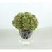 Primrue Hydrangea Floral Arrangement in Vase Polysilk, Ceramic in Blue/Green/White | 10 H x 11 W x 11 D in | Wayfair