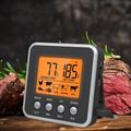 Thermomètre à viande numérique à lecture instantanée cuisine cuisson aliments bonbons thermomètre minuterie avec sonde en acier inoxydable rétro-éclairage aimant pour huile friture barbecue grill