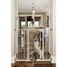 CARLSON HARDWARE PET GATES 916040 Carls Walk Through Gate With Pet Door 42-Inch Wide