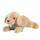 Golden Retriever Dog Plush Toy Lifelike Labrador Dog Plush Toy Hugging Cartoon Animal Boy Gift Birthday 38cm 1