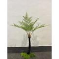 Artificial Plant Potted Plants, Window Interior Decoration Fake Tree Floor Ornaments, Tropical Large Coconut Tree Fern Tree Bonsai 2m