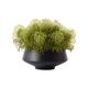 SmPinnaA Artificial Bonsai Tree -Style Artificial Grass Fake Flower Artificial Green Plant, Home Living Room Coffee Table Table Flower Decoration Artificial Flower Pot, Artificial Plant Simulation