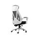 SHERAF Ergonomic High Back Executive Mesh Chair, with Adjustable Lumbar Support, Headrest and Armrests Office Chair Computer Chair lofty ambition