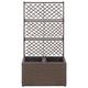Gecheer Planter Box Garden Raised Bed with Trellis Trough Planter with Topped Trellis Climbing Plants Flower Raised Bed Pot with 2 Pots 58x30x107 cm Poly Rattan Brown