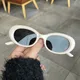 Europäische amerikanische Art Sonnenbrille Männer Frauen Vintage Retro y2k ovale Form beliebte