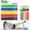 5 PCS [1 Set] Gym Fitness Resistance Bands Portable Fitness Workout Equipment Yoga Elastic Gum