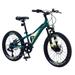Kids Mountain Bikes 20 inch for Girls and Boys Shimano 7 Speed Mountain Bycicle with Disc Brakes 85% Assembled Green