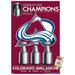 NHL Colorado Avalanche - 2022 Stanley Cup Team Logo Wall Poster with Push Pins 22.375 x 34