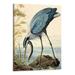 Creowell Great Blue Heron Vintage Poster Birds of America Antique Bird Illustration Wall Art (Framed 16x20 Inch)