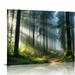 Shiartex Nature Wall Art Tree Wall Art Forest Decor Canvas Wall Art For Living Room Decor Aesthetic Vintage Posters & Prints Bedroom Wall Art Home Wall Decor Classroom 20x16 in/16x12 in