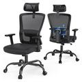 Drevy Ergonomic Office Chair Desk Chair with 2â€˜â€™ Adjustable Lumbar Support Headrest Mesh Office Chair with Swivel & Rocking Tilt Computer Chair with Backrest