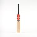 Gray Nicolls Shockwave Gen 2.0 300 Junior Cricket Bat (2024) (4)