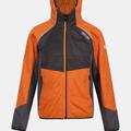 Regatta Childrens/Kids Prenton Lightweight Fleece Jacket - Autumn Maple/Dark Grey - Orange - 7