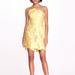 Marchesa Notte Embroidered Tulip Mini Dress - Lemon - Yellow - 12