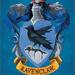 Harry Potter Ravenclaw Canvas Print - Blue/Yellow - 80CM X 60CM