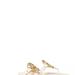 Tory Burch Women'S Soft Leather Metal Miller Sandals - White