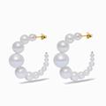 MING YU WANG Iris Earrings - Gold - Gold