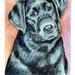 Caroline's Treasures Black Labrador Garden Flag 2-Sided 2-Ply