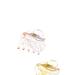 Ettika Full Hearts Clear Hair Claw Set - Yellow - ONE SIZE