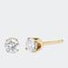 Haus of Brilliance 14k Yellow Gold 1/4 Cttw Round Brilliant-Cut Near Colorless Diamond Classic 4-Prong Stud Earrings - Yellow - OS