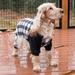 Leveret Dog Black & White Plaid Pajamas - Black - M