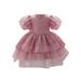 JYYYBF Infant Baby Girls Flower Dress Embroidered Flower Puff Sleeve Tulle Tutu Formal Dress Wedding Party Pageant Dresses