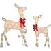 2 Piece Holiday Light Up Glittering Deer Set - Christmas Light Up Reindeer Outdoor Decor For Lawn Or Yard - Comes With Doe And Fawnâ€¦White With Deer Christmas Ornament