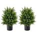 22 Artificial Cedar Topiary Tree 2 Pack Faux Shrub Brush Potted Tree Set with Cement Pot Fake Greenery Decorative Potted Plants for Indoor Outdoor Use (Cedar Tree)