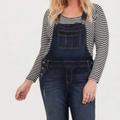 Torrid Pants & Jumpsuits | "Plus Size" Torrid Women's Distressed Denim Overalls Jean | Color: Blue | Size: 18