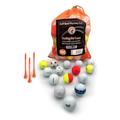 Golf Ball Monkey Pro Series Brand Golf Ball Variety Mix - Recycled and Used Top Brand Golf Balls in Mint/Near Mint Condition Includes 100 Recycled Balls, 15 Tees and Mesh Bag. (100)