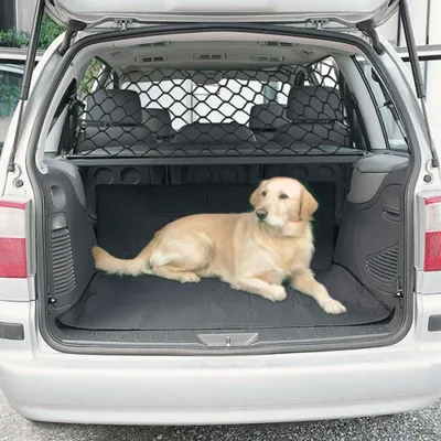 Auto Anti-Kollisions-Mesh Haustier Isolation Barriere Netz Auto Zaun Barriere Isolation Netzwerk Image