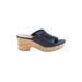 Baretraps Sandals: Slip On Platform Casual Blue Solid Shoes - Women's Size 8 - Open Toe