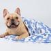 ToccoLeggero 1 Pack 3 Blankets Super Soft Fluffy Premium Cute Elephant Pattern Pet Blanket Flannel Throw For Dog Puppy Cat Blue/Pink/Yellow Medium(30X20 Inch) | Wayfair