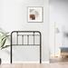 Ebern Designs Miaha Metal Headboard Metal in Black | 43 H x 39 W x 1 D in | Wayfair 44DB5973C42E476AB22DCB87E932C2F3