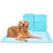 Tucker Murphy Pet™ Pet Training Mat/Pad Set of 20 in Blue | 0.2 H x 24 W x 36 D in | Wayfair A4A1EE7D538F413DA763529951402BD0