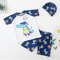 Kids Boys Swimsuit Graphic Short Sleeve Outdoor Cool Colorful shark Summer Clothes 7-13 Years